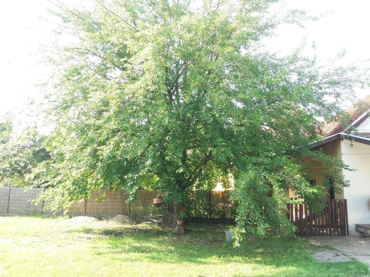 Hársfák Mezokovacshaza Exterior foto